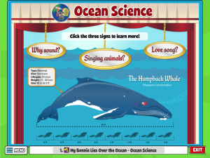 Educational activity explores ocean science with a whale and facts about sounds.
