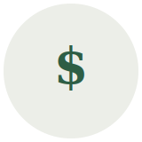 Dollar icon